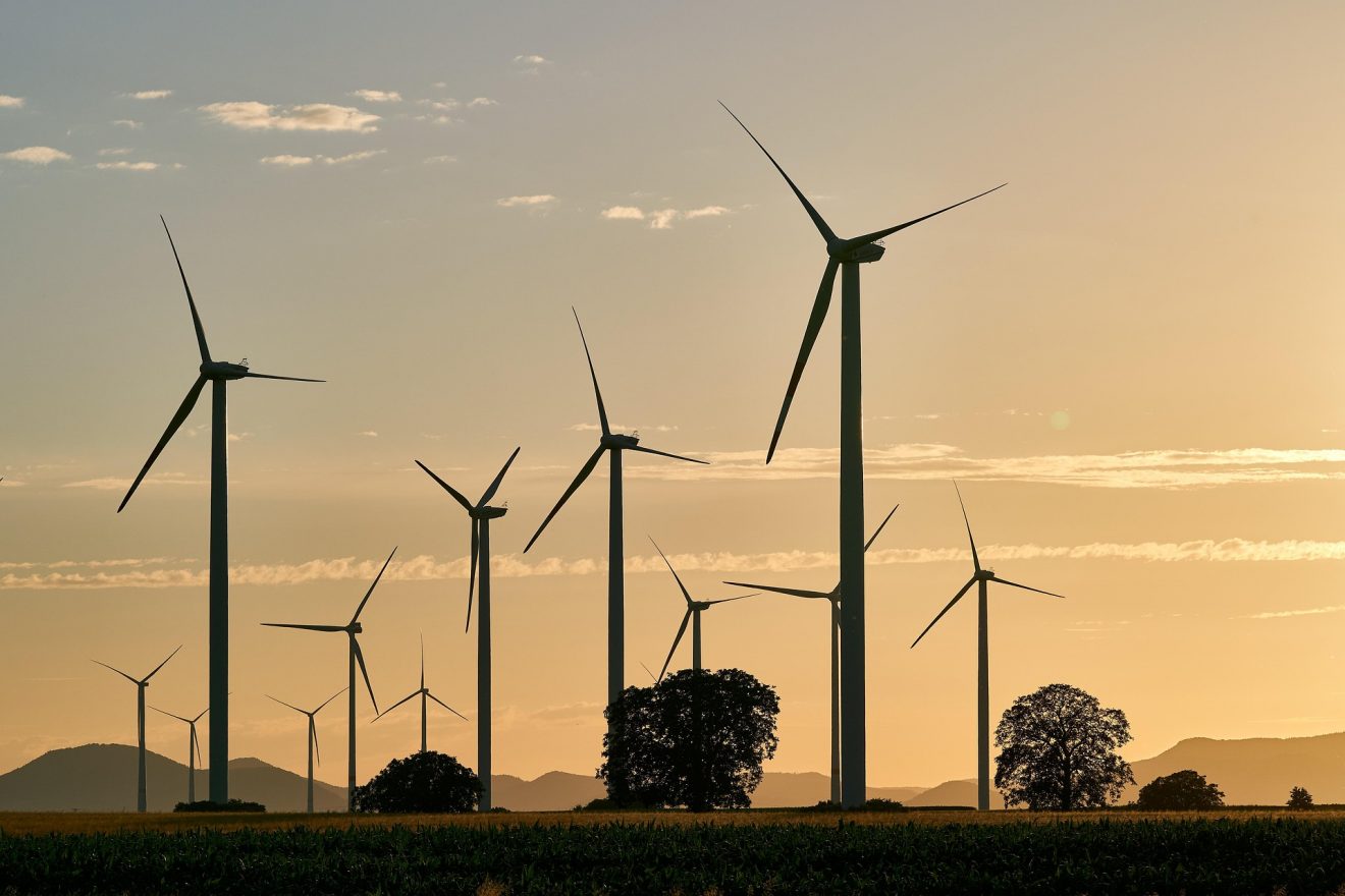 Mühlenfest im Windpark Lügde